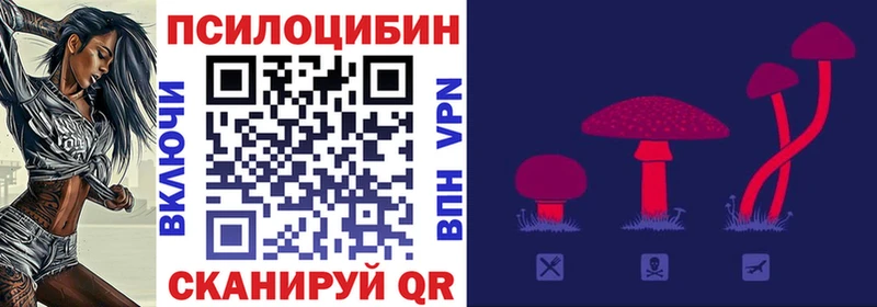 KRAKEN сайт  Городище  Псилоцибиновые грибы Psilocybine cubensis 